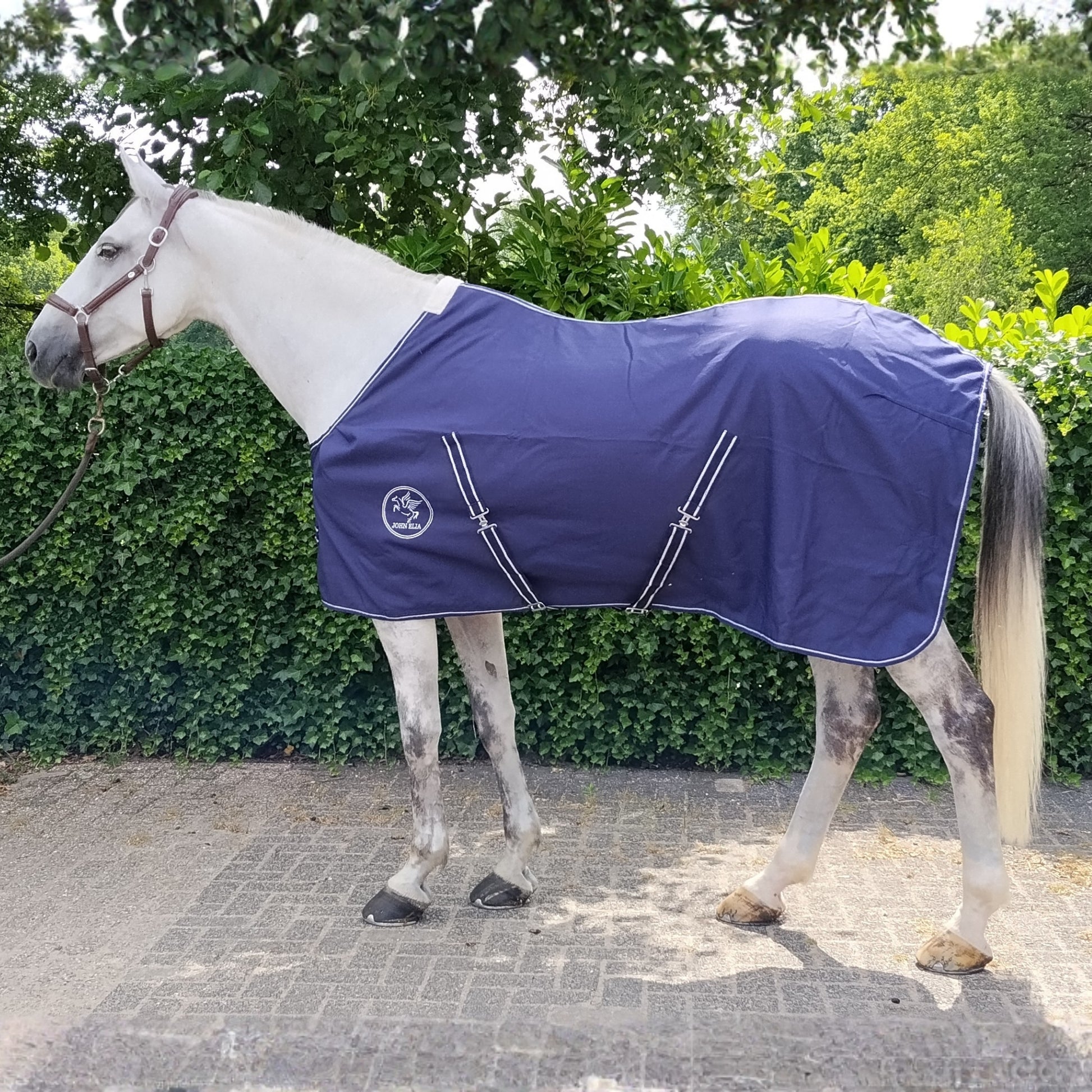Summer Stable Sheet - 1200 Denier - Ripstop