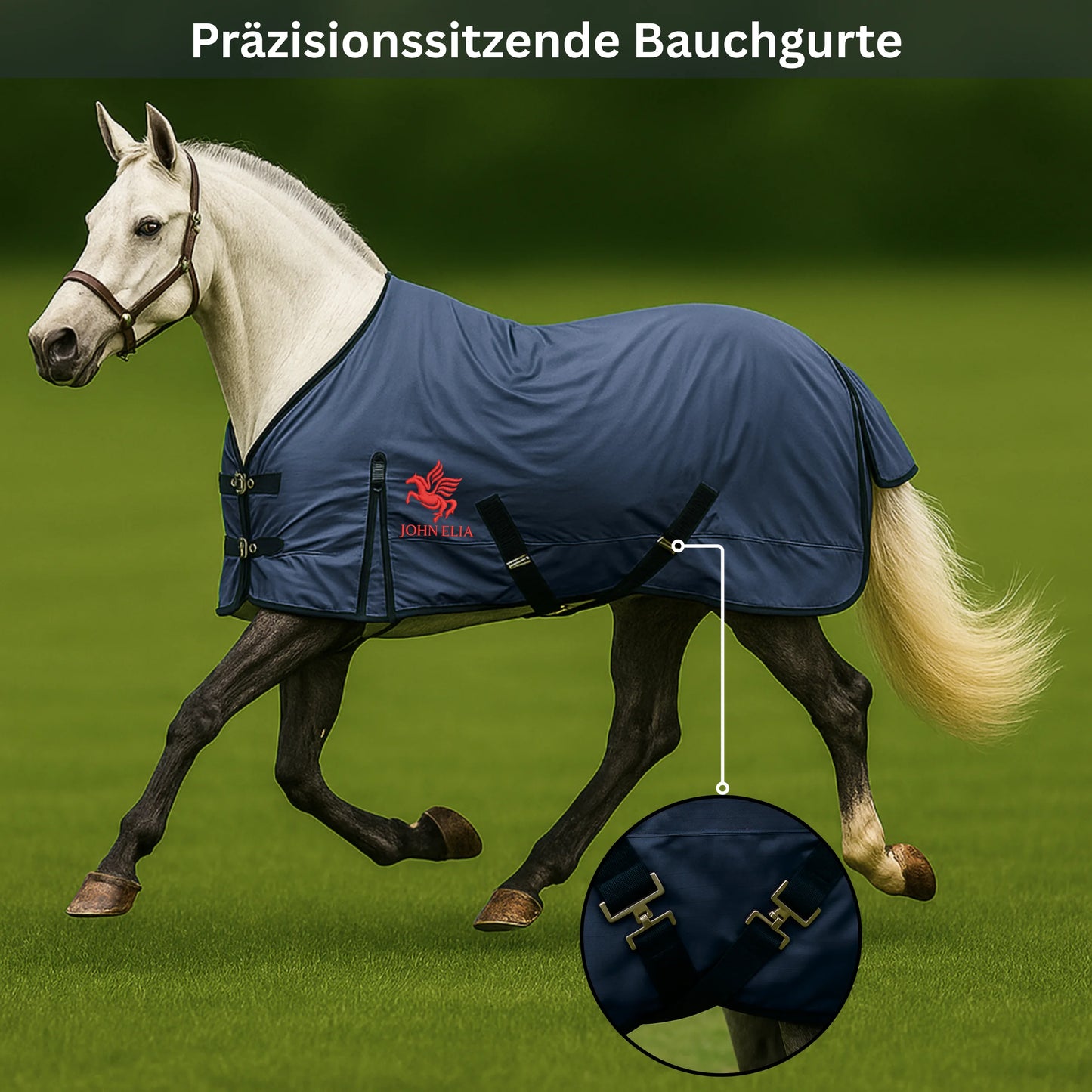 Turnout Horse Blanket | 1200D Waterproof | Double Buckle | Tail Flap | Navy | 165–205 cm