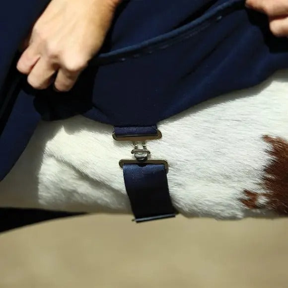 Close-up of a horse wearing a blue cooler with a person adjusting it.
