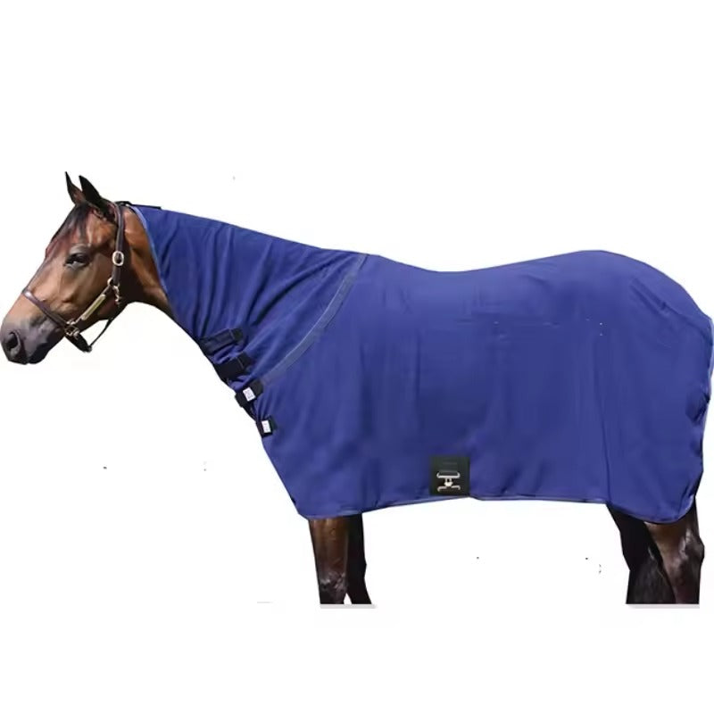 Horse wearing a blue blanket on a white background