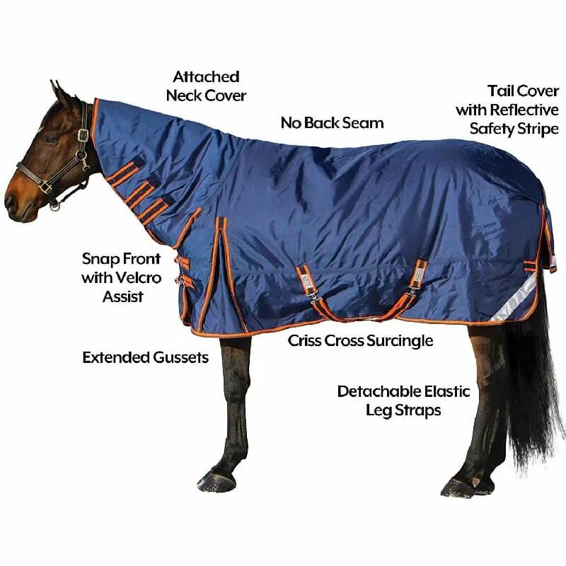 Horse wearing a blue blanket with features highlighted on a white background