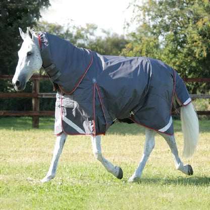 Horse wearing a blue protective blanket in a grassy field with trees in the background