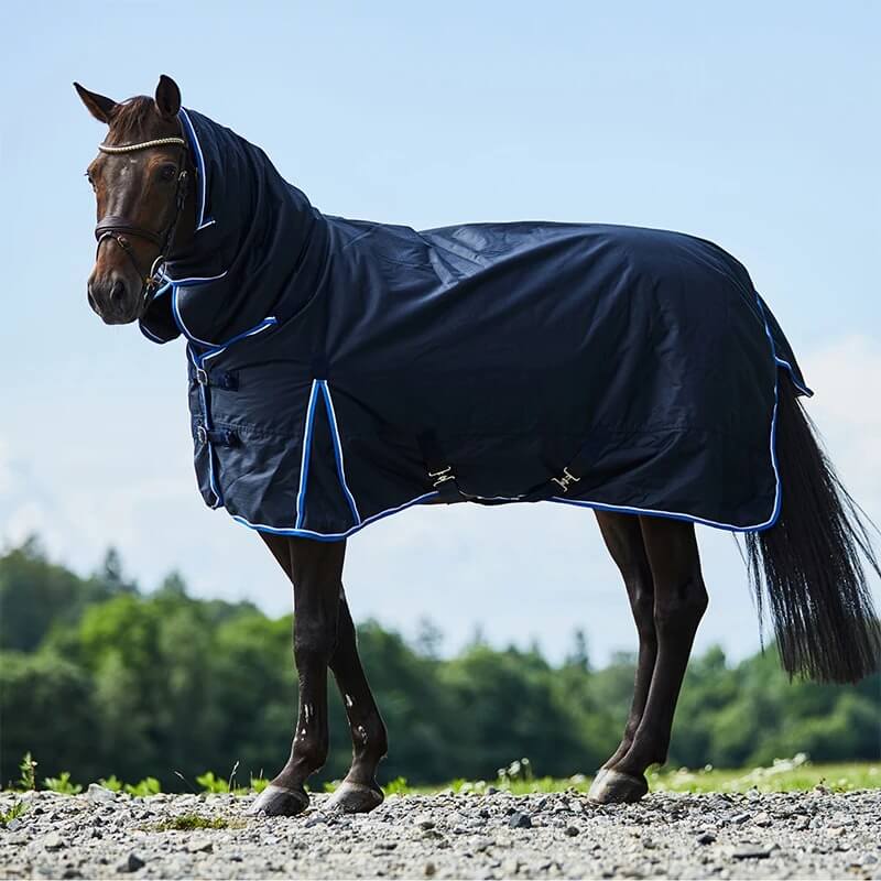 Horse wearing a dark blue rug with a light blue trim standing on a gravel path with trees in the background.