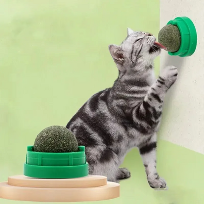 Katzenminze Wandball-Spielzeug